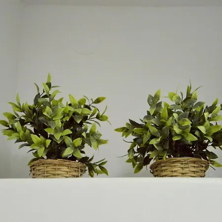 Tsakonas بيت للعطل Mandrakia